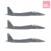 F-15E Strike Eagle Vulgaris